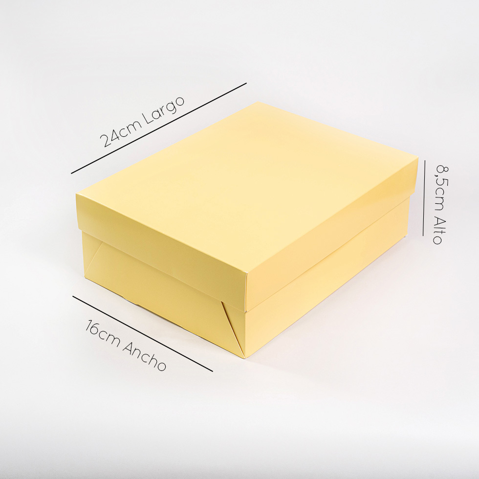 Caja jumbo mediana pastel